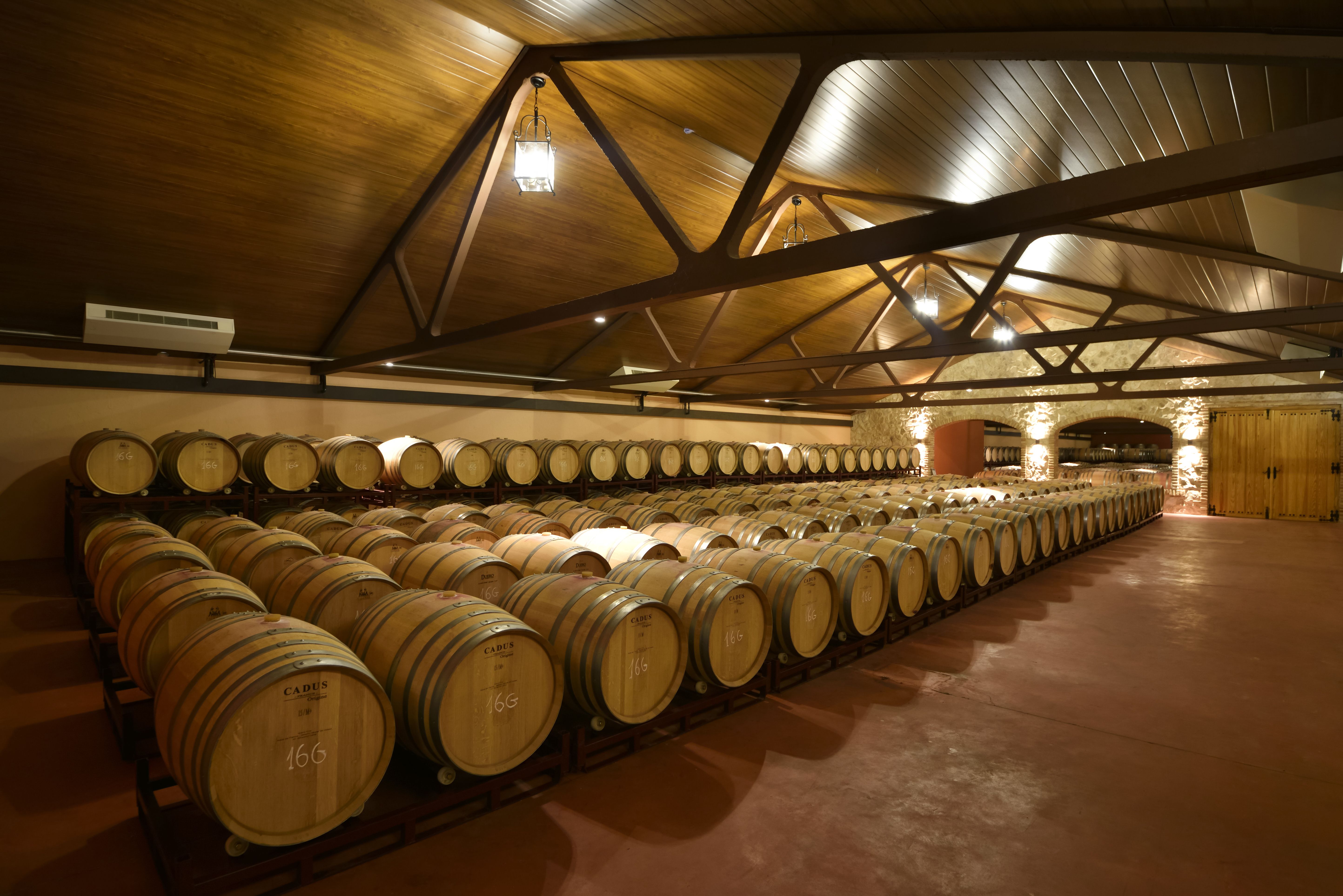 Bodega López Cristóbal